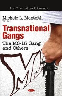 bokomslag Transnational Gangs
