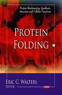 bokomslag Protein Folding
