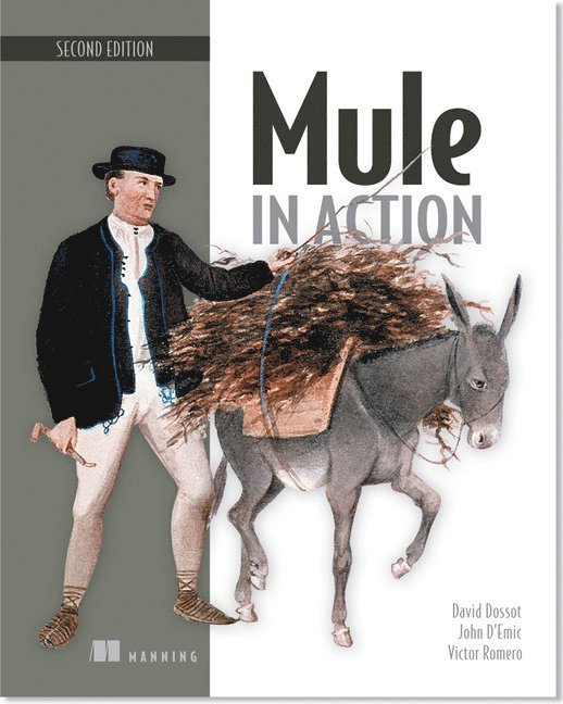 David Dossot, John d'Emic, John D'Emic, Victor Romero - Mule in Action, Häftad