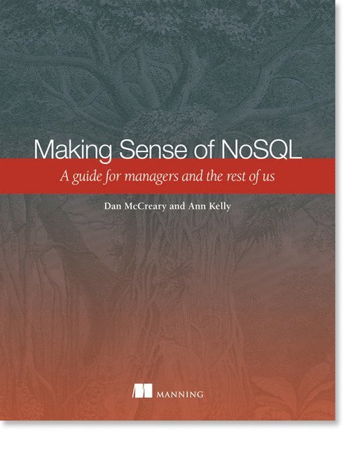 Dan McCreary, Ann Kelly - Making Sense of NoSQL: A Guide for Managers and the Rest of Us, Häftad