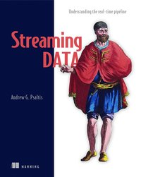 bokomslag Streaming Data