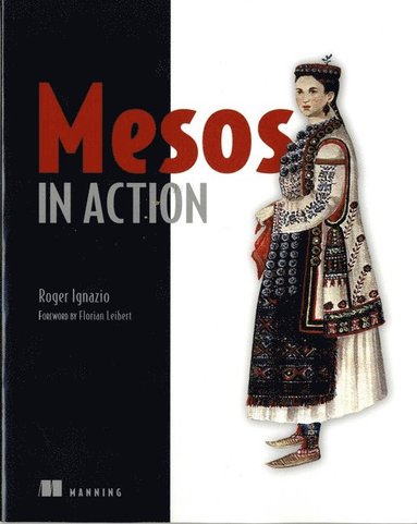 bokomslag Mesos in Action