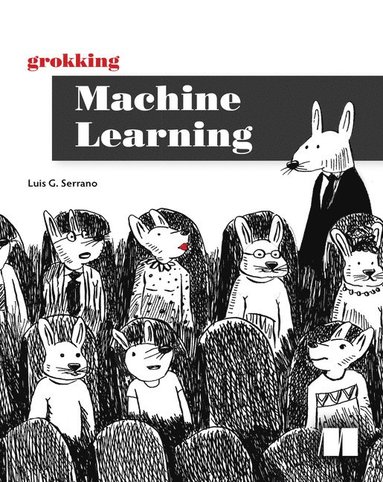 bokomslag Grokking Machine Learning