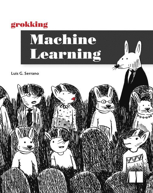 Grokking Machine Learning 1