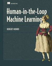bokomslag Human-in-the-Loop Machine Learning