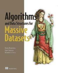 bokomslag Algorithms And Data Structures For Massive Datasets