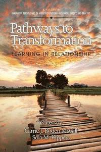 bokomslag Pathways to Transformation