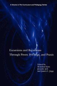 bokomslag Excursions and Recursions Through Power, Privilege, and Practice