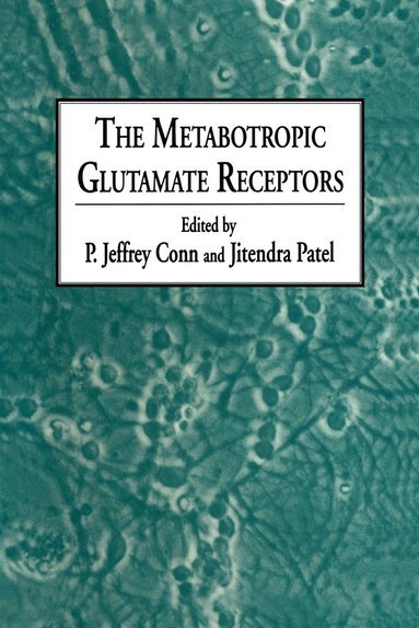 bokomslag The Metabotropic Glutamate Receptors