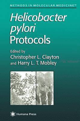 bokomslag Helicobacter pylori Protocols