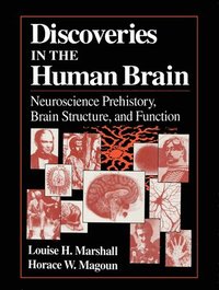 bokomslag Discoveries in the Human Brain