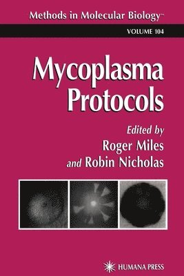 Roger J. Miles, Robin A. J. Nicholas, Roger J Miles, Robin A J Nicholas - Mycoplasma Protocols, Häftad