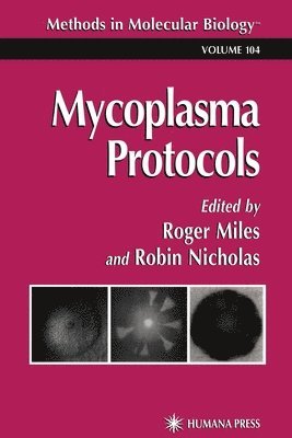 Mycoplasma Protocols 1