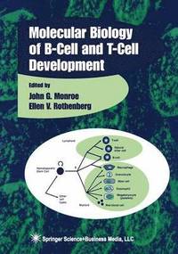 bokomslag Molecular Biology of B-Cell and T-Cell Development