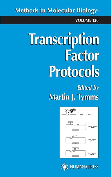 bokomslag Transcription Factor Protocols