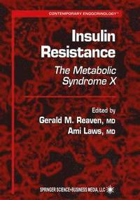 bokomslag Insulin Resistance