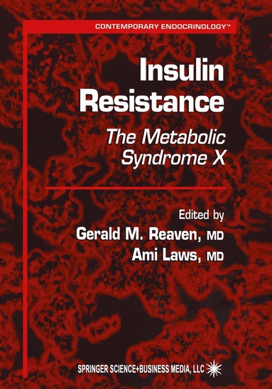 bokomslag Insulin Resistance