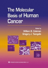 bokomslag The Molecular Basis of Human Cancer