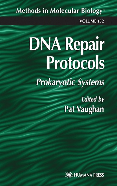 bokomslag DNA Repair Protocols