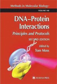 bokomslag DNA'Protein Interactions
