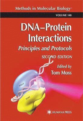 DNA'Protein Interactions 1