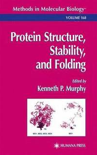 bokomslag Protein Structure, Stability, and Folding