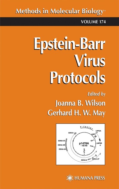 bokomslag Epstein-Barr Virus Protocols