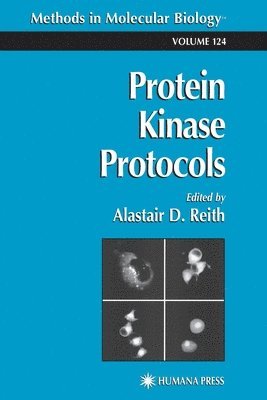 bokomslag Protein Kinase Protocols