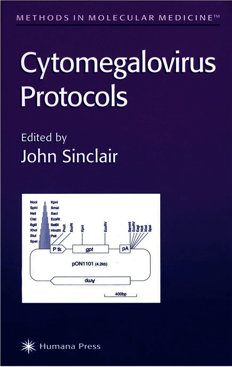 John Sinclair - Cytomegalovirus Protocols, Häftad