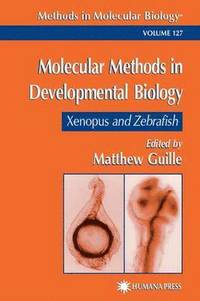 bokomslag Molecular Methods in Developmental Biology