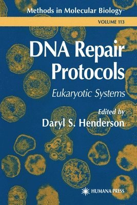 bokomslag DNA Repair Protocols