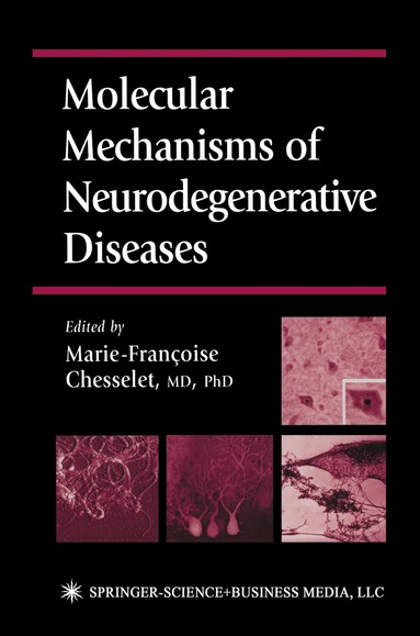 Marie-Francoise Chesselet - Molecular Mechanisms of Neurodegenerative Diseases, Häftad