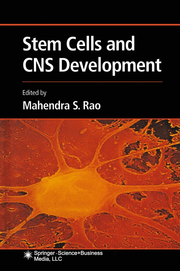 Mahendra S. Rao - Stem Cells and CNS Development, Häftad