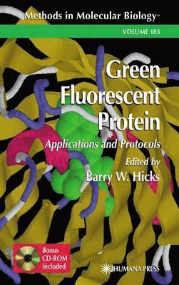 Green Fluorescent Protein 1