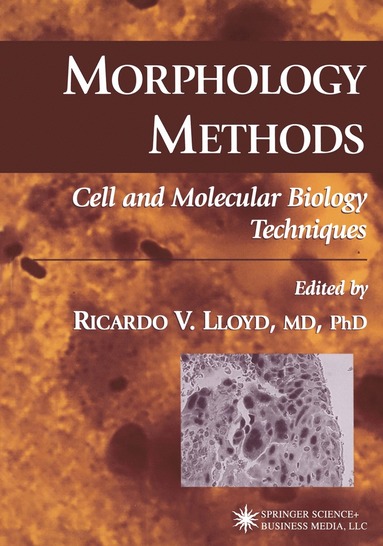 bokomslag Morphology Methods