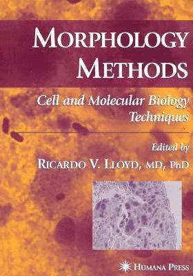 Morphology Methods 1