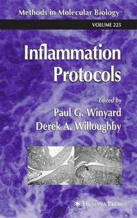 bokomslag Inflammation Protocols