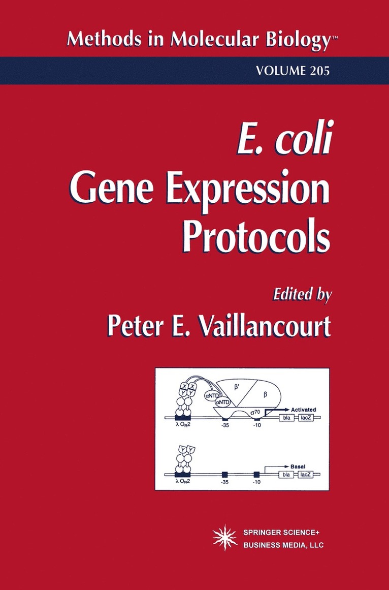 Peter E. Vaillancourt - E. coli Gene Expression Protocols, Häftad