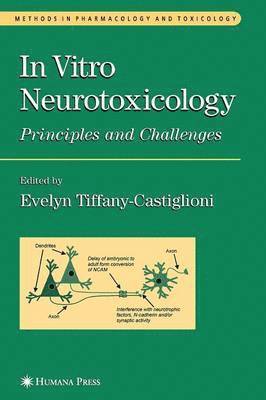 bokomslag In Vitro Neurotoxicology