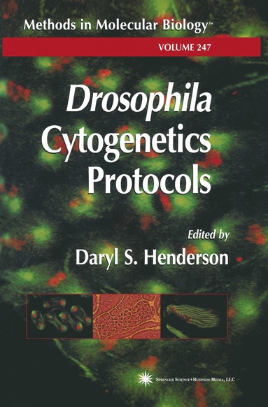 bokomslag Drosophila Cytogenetics Protocols