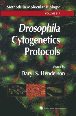 Drosophila Cytogenetics Protocols 1