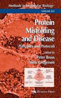 bokomslag Protein Misfolding and Disease