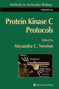 bokomslag Protein Kinase C Protocols