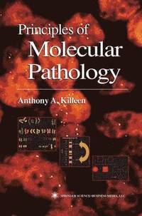 bokomslag Principles of Molecular Pathology