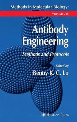 Benny K. C. Lo - Antibody Engineering, Häftad