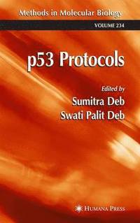 bokomslag p53 Protocols