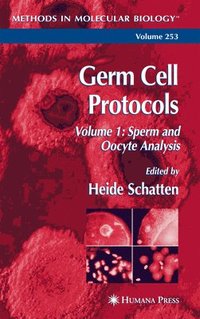 bokomslag Germ Cell Protocols