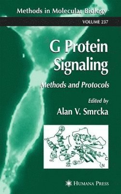 G Protein Signaling 1