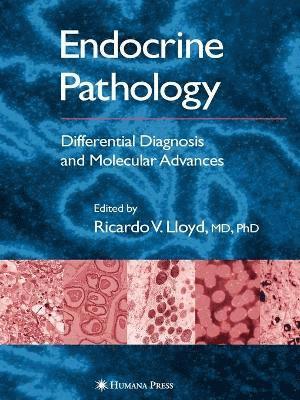 Endocrine Pathology 1