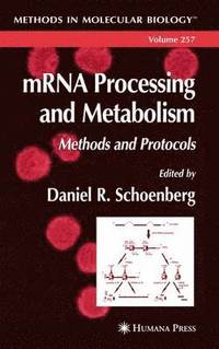 bokomslag mRNA Processing and Metabolism